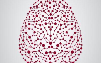 Granada acoge el XVI Congreso Bienal de Neurociencia