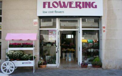 Jornada  “La franquicia como modelo de negocio”