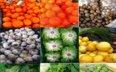 Mercado Abierto de agricultores y artesanos “Valle de Lecrín”