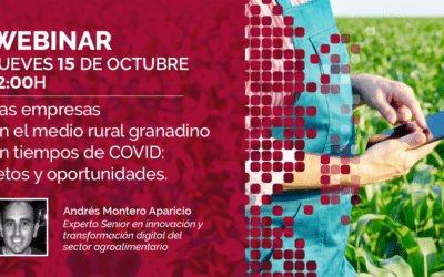 La situación de las empresas en el medio rural en tiempos de COVID, próximo webinar en Granada Empresas