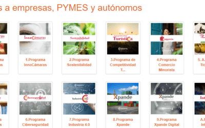 Abierto el plazo de solicitud de ayudas a pymes y autónomos de municipios de menos de 50.000 habitantes