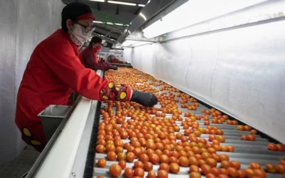 Granada bate récord de exportaciones con ventas por más de 1.500 millones de euros en 2024