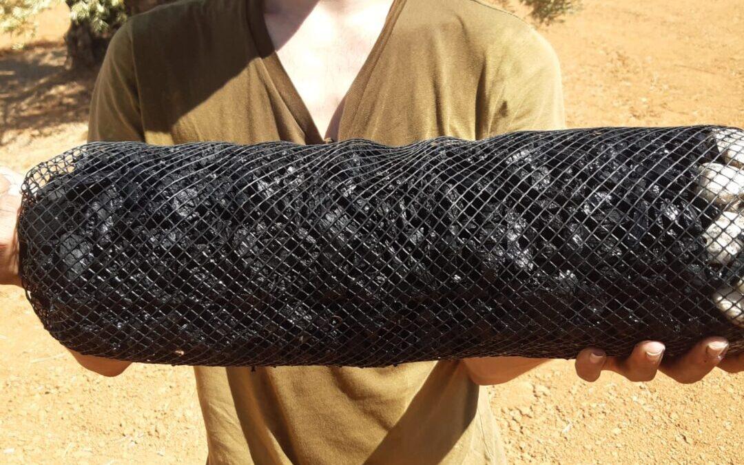 Un innovador sistema desarrollado en Granada revoluciona la gestión de agua en el olivar